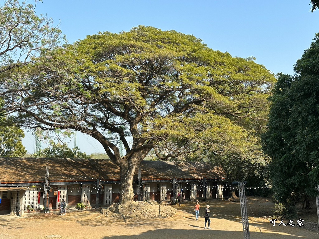 橋頭糖廠,鐵園迷城九重葛