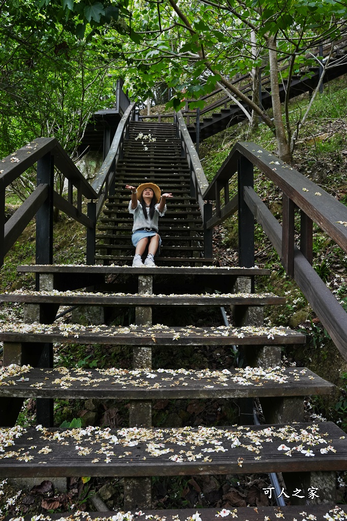 公興森態園區,土匪山公興森態園區,土匪森活村,龍美步道