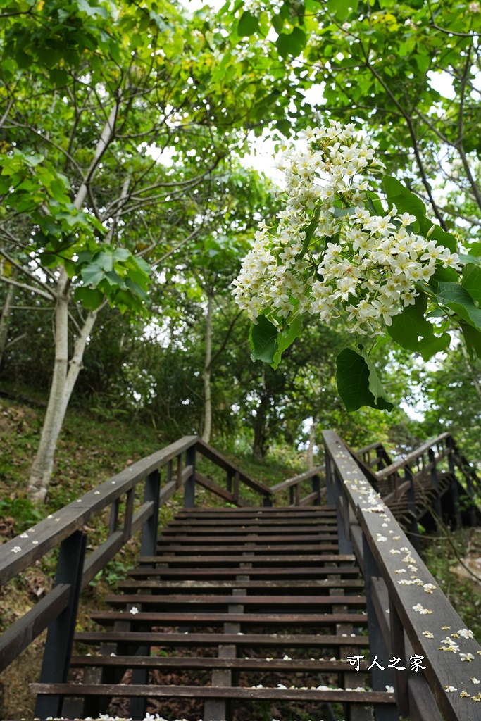 公興森態園區,土匪山公興森態園區,土匪森活村,龍美步道