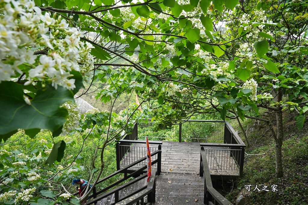 公興森態園區,土匪山公興森態園區,土匪森活村,龍美步道