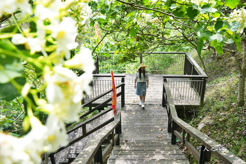 公興森態園區,土匪山公興森態園區,土匪森活村,龍美步道