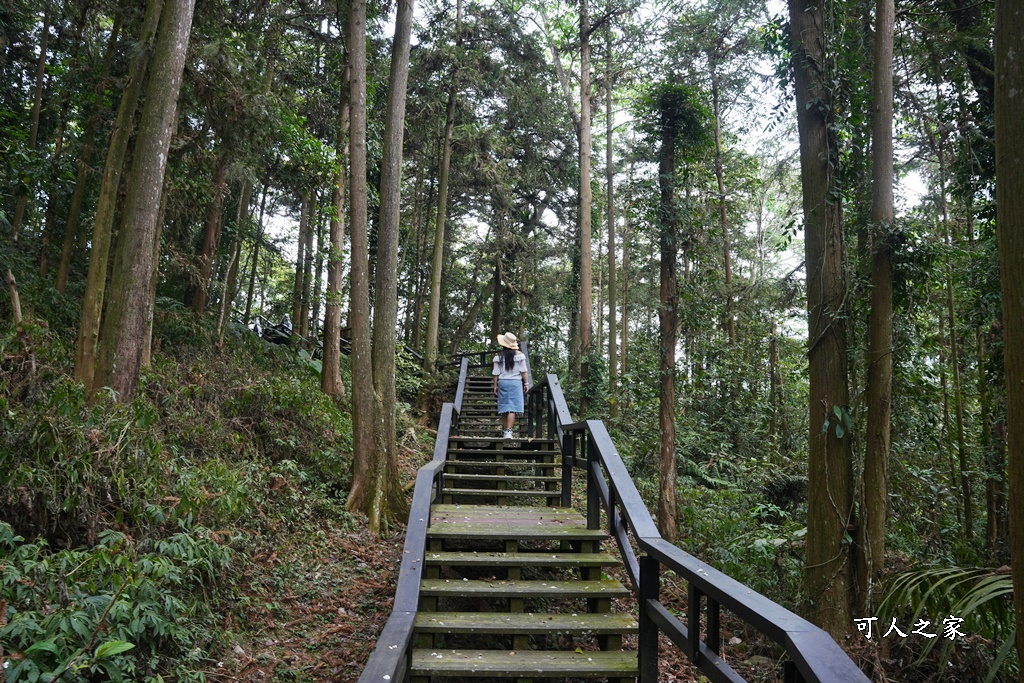 公興森態園區,土匪山公興森態園區,土匪森活村,龍美步道