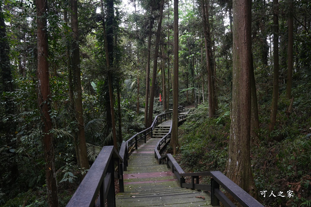 公興森態園區,土匪山公興森態園區,土匪森活村,龍美步道