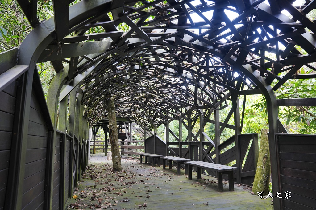 公興森態園區,土匪山公興森態園區,土匪森活村,龍美步道