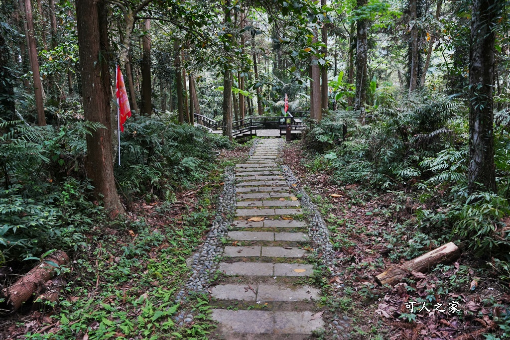 公興森態園區,土匪山公興森態園區,土匪森活村,龍美步道