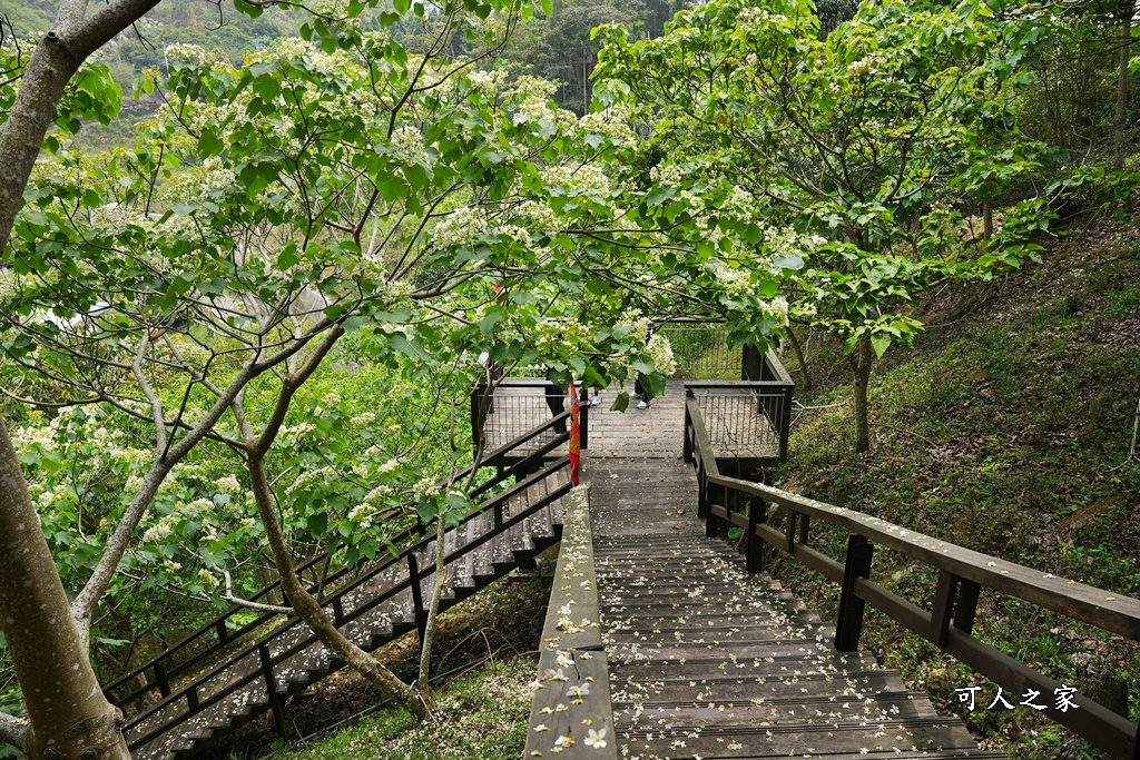 公興森態園區,土匪山公興森態園區,土匪森活村,龍美步道