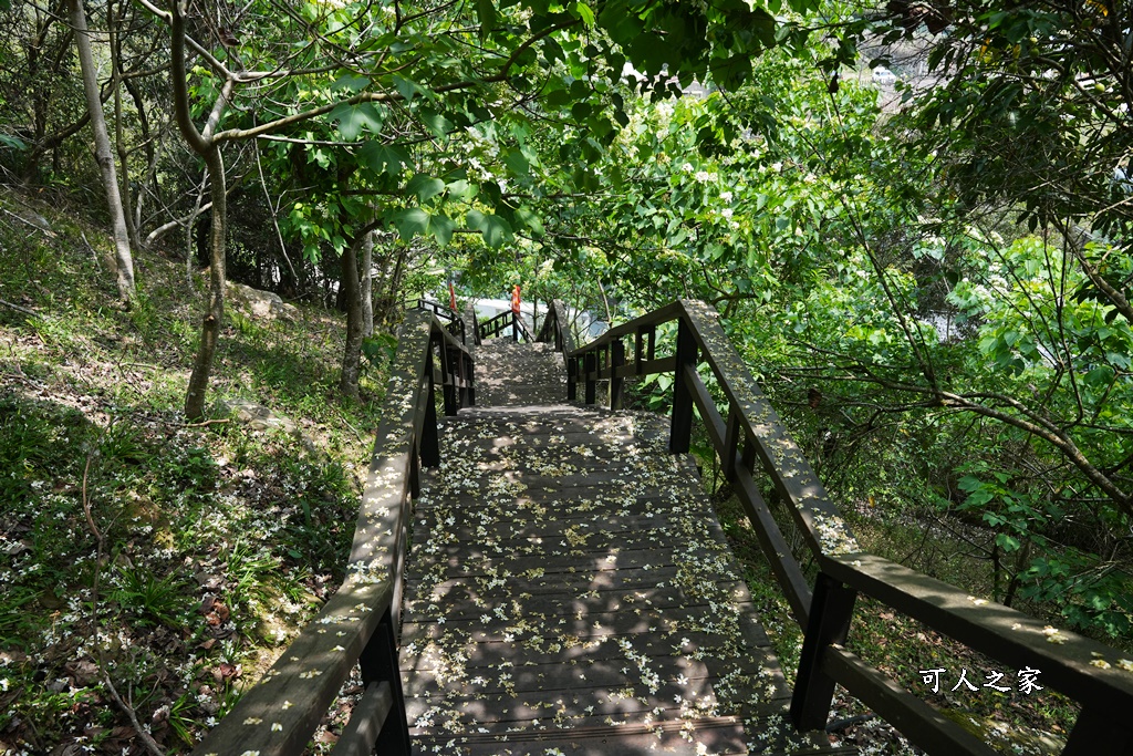 公興森態園區,土匪山公興森態園區,土匪森活村,龍美步道