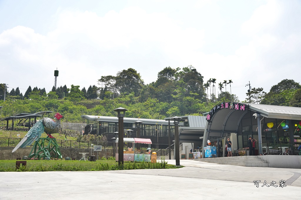 公興森態園區,土匪山公興森態園區,土匪森活村,龍美步道