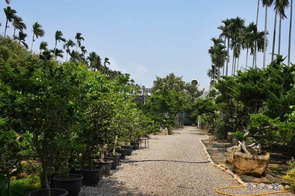 南投松柏嶺親子餐廳,南投親子餐廳,瑪爾夏莊園,瑪爾莊園菜單