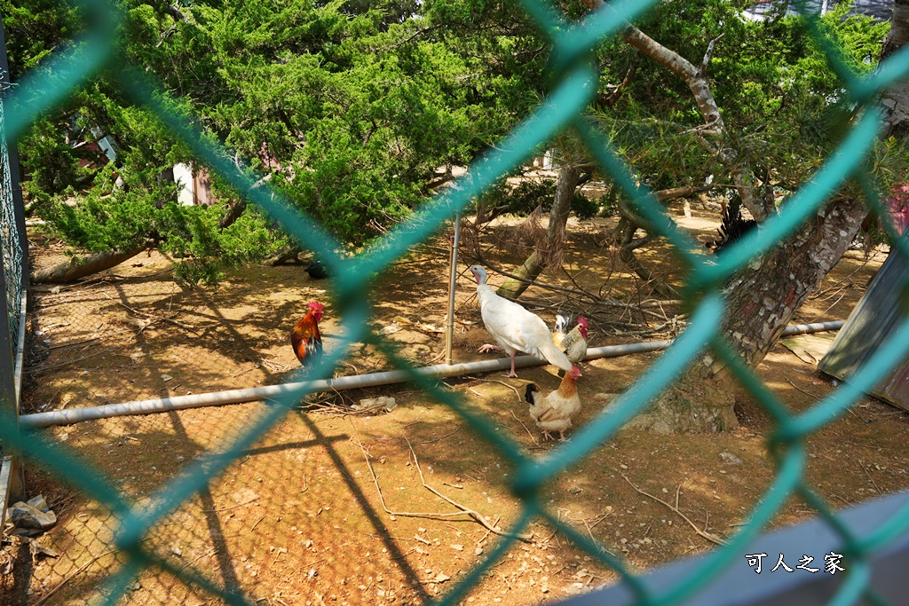 南投松柏嶺親子餐廳,南投親子餐廳,瑪爾夏莊園,瑪爾莊園菜單