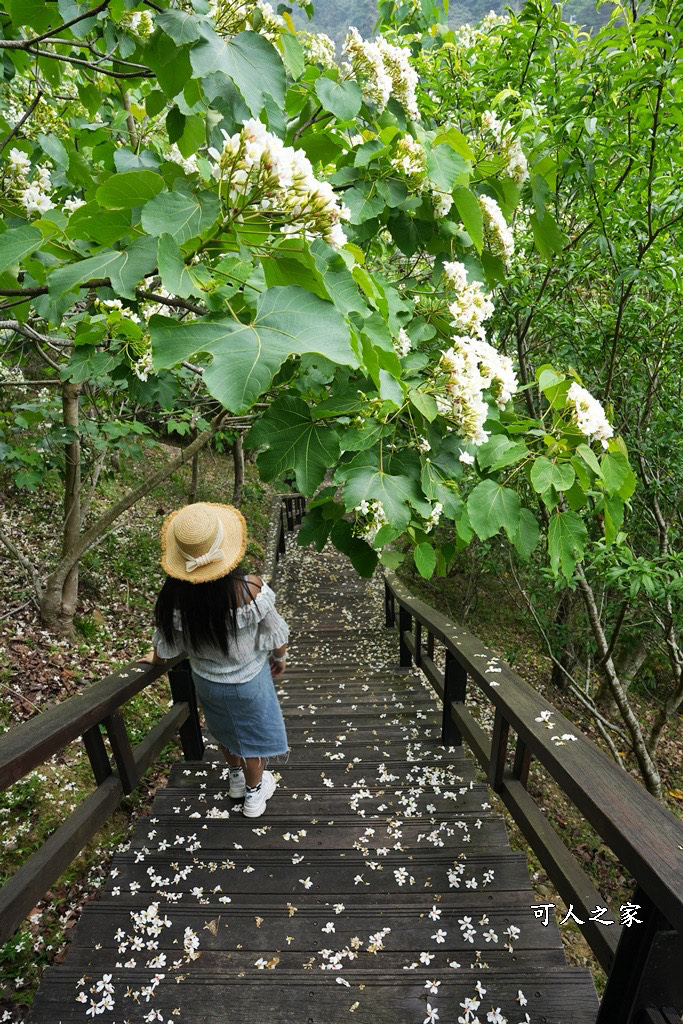 公興森態園區,土匪山公興森態園區,土匪森活村,龍美步道