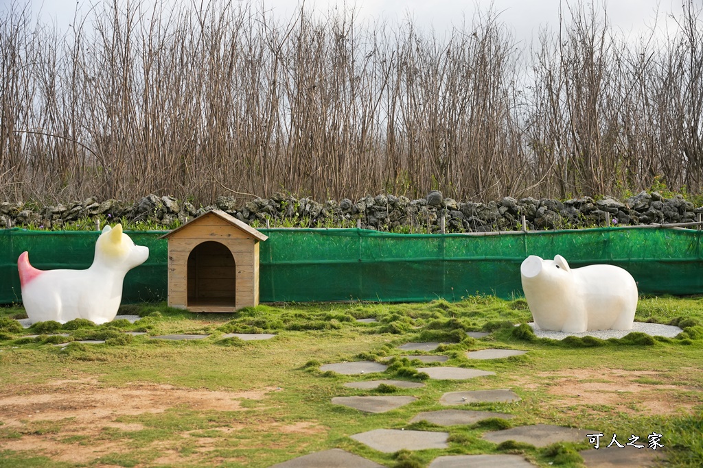 南寮古厝秘境,古厝彩色浮球秘境,澎湖景點,澎湖花火節一日遊