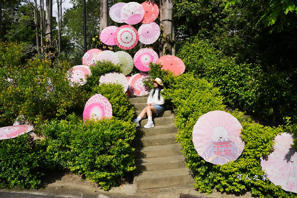 台南一日遊,台南搭船遊湖,台南柳營尖山埤渡假村,台南柳營景點,天鵝船