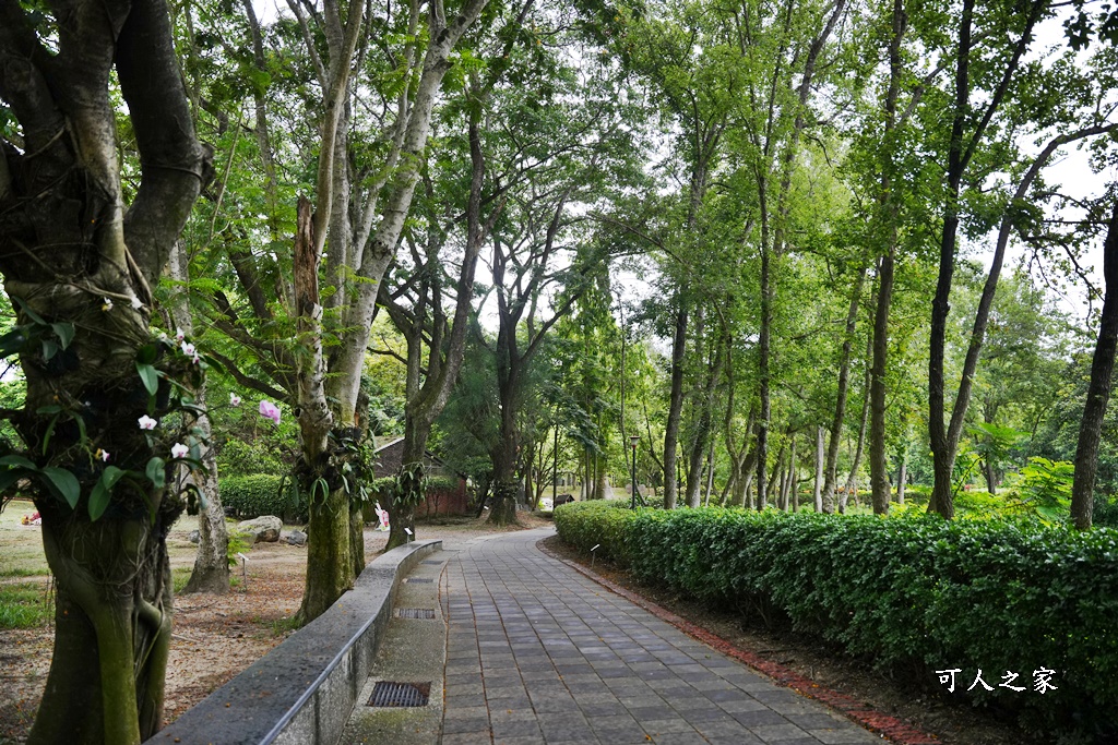 台南一日遊,台南搭船遊湖,台南柳營尖山埤渡假村,台南柳營景點,天鵝船