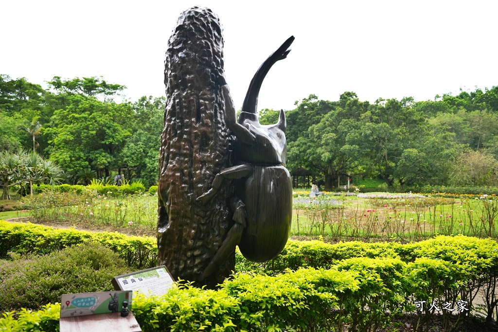 台南一日遊,台南搭船遊湖,台南柳營尖山埤渡假村,台南柳營景點,天鵝船