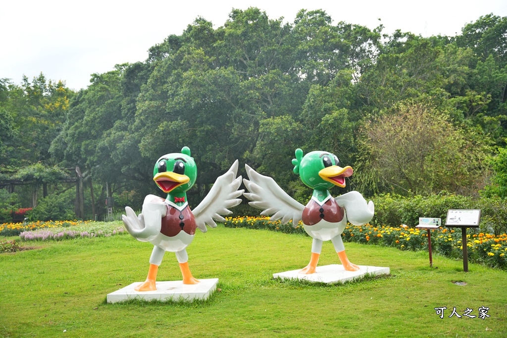 台南一日遊,台南搭船遊湖,台南柳營尖山埤渡假村,台南柳營景點,天鵝船