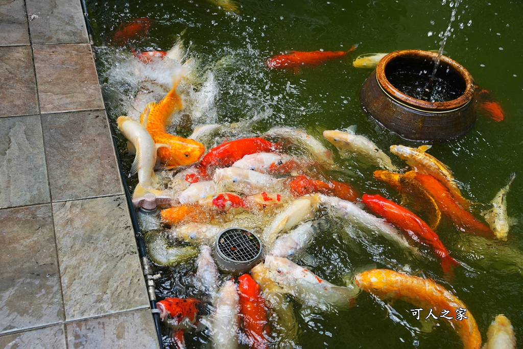 台南一日遊,台南搭船遊湖,台南柳營尖山埤渡假村,台南柳營景點,天鵝船