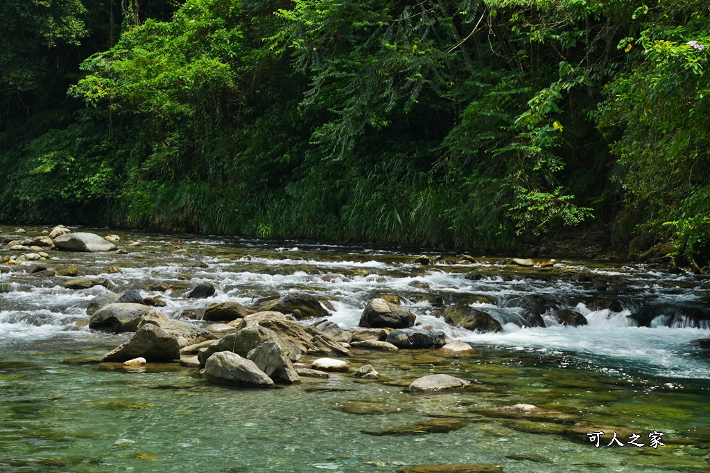 白鮑溪親水園區,花蓮戲水秘境