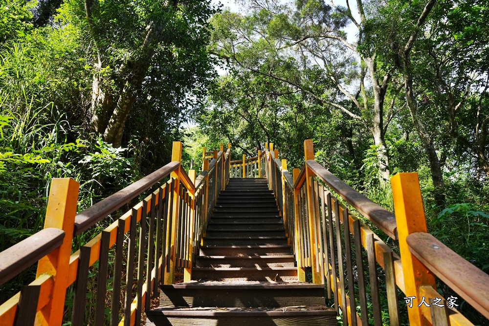 台中登山步道,台中看夜景,台中霧峰步道,夜景步道景點,望月峰獻堂登山步道