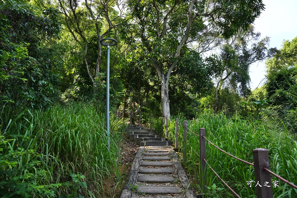 台中登山步道,台中看夜景,台中霧峰步道,夜景步道景點,望月峰獻堂登山步道