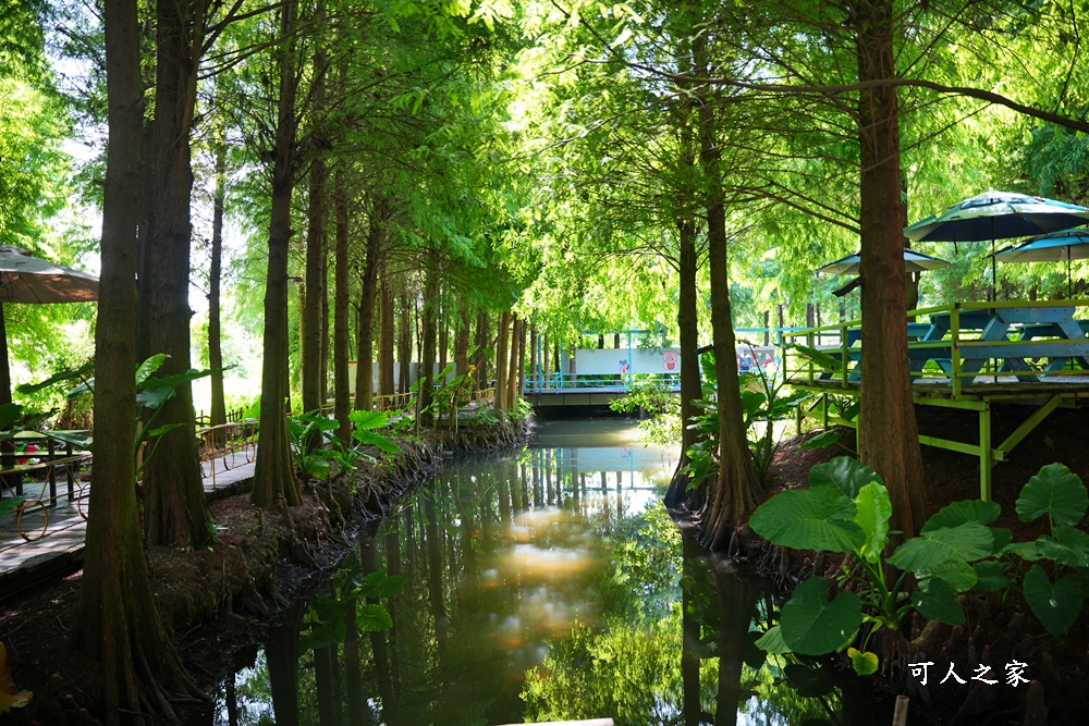 彰化景點,水森林農場,水森林鳥居裝置