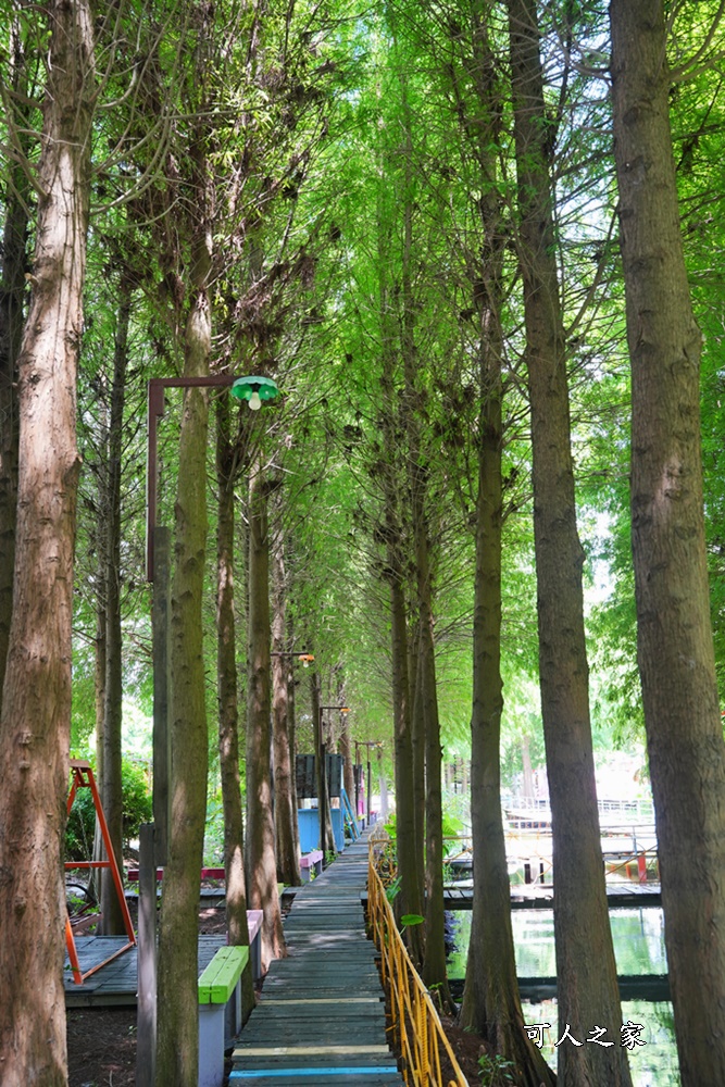 彰化景點,水森林農場,水森林鳥居裝置