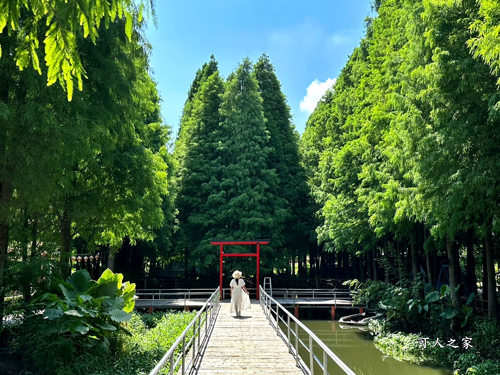 彰化景點,水森林農場,水森林鳥居裝置