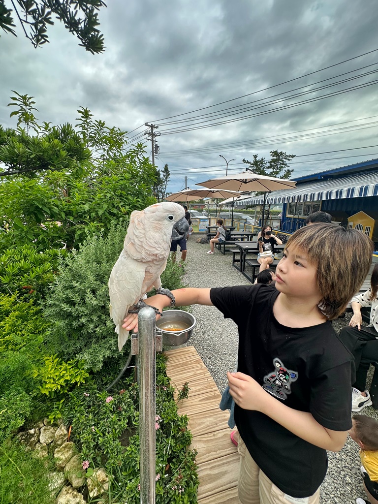 嘎逼&牛奶寵物互動園區,高雄動物新景點