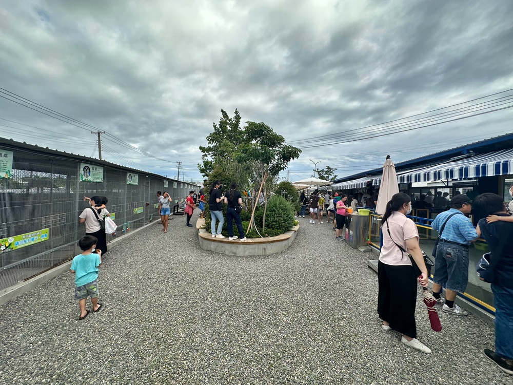 嘎逼&牛奶寵物互動園區,高雄動物新景點