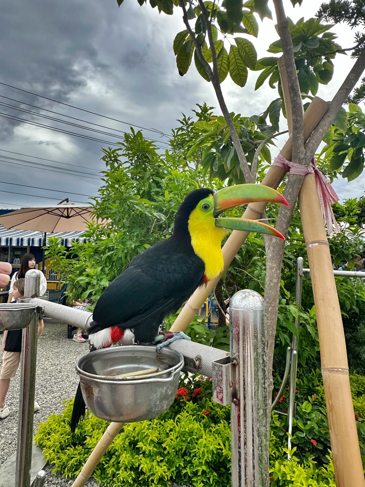 嘎逼&牛奶寵物互動園區,高雄動物新景點