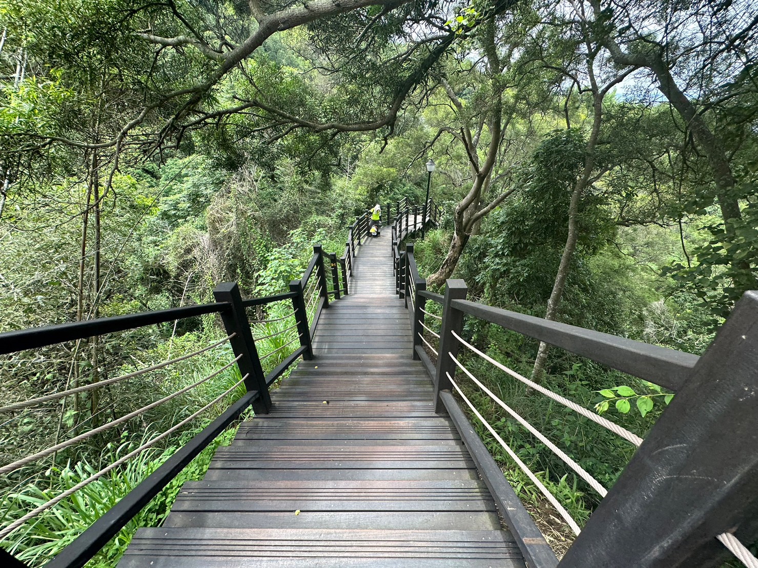 9號步道,台中大坑景點,精選文章