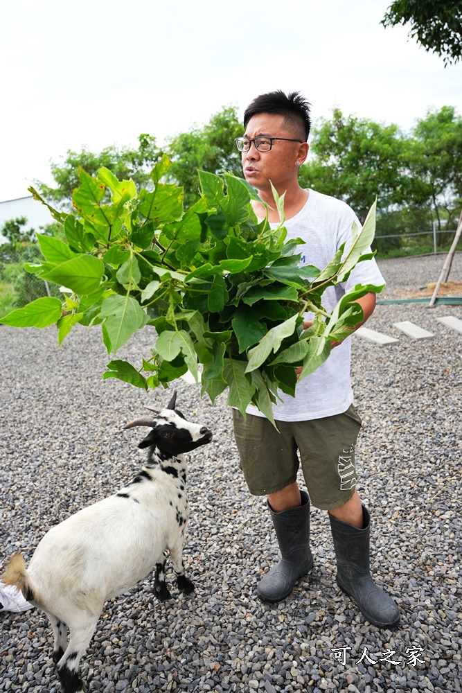 灰太狼生態教育園區