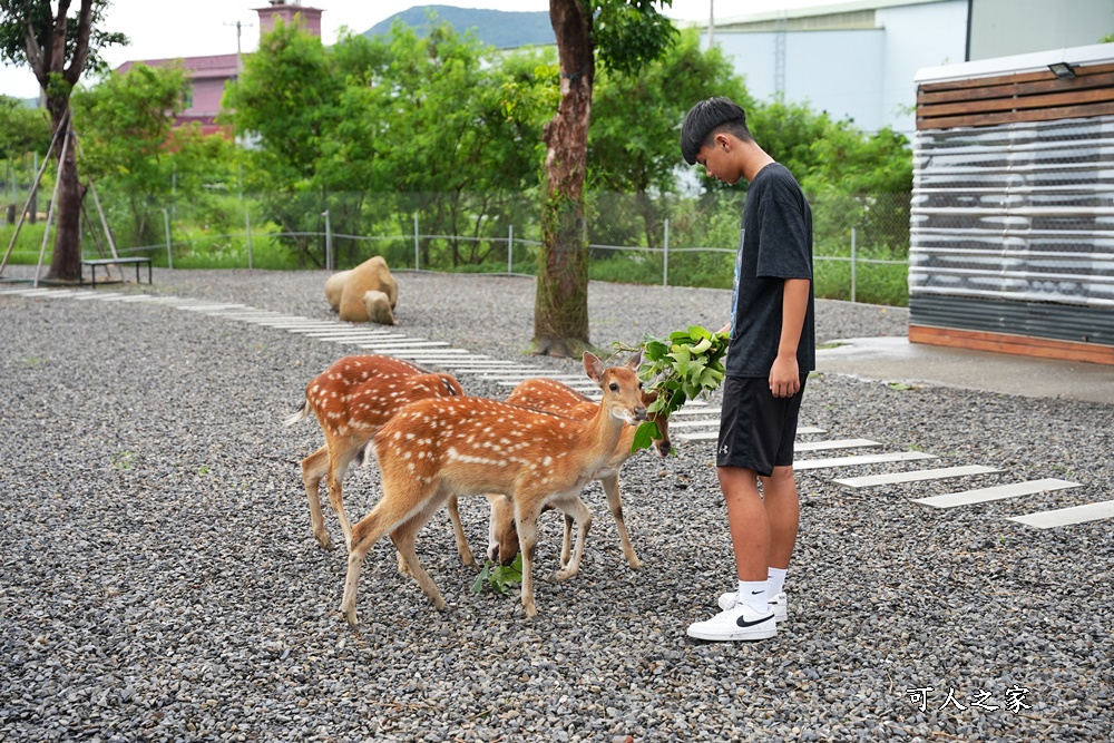 灰太狼生態教育園區