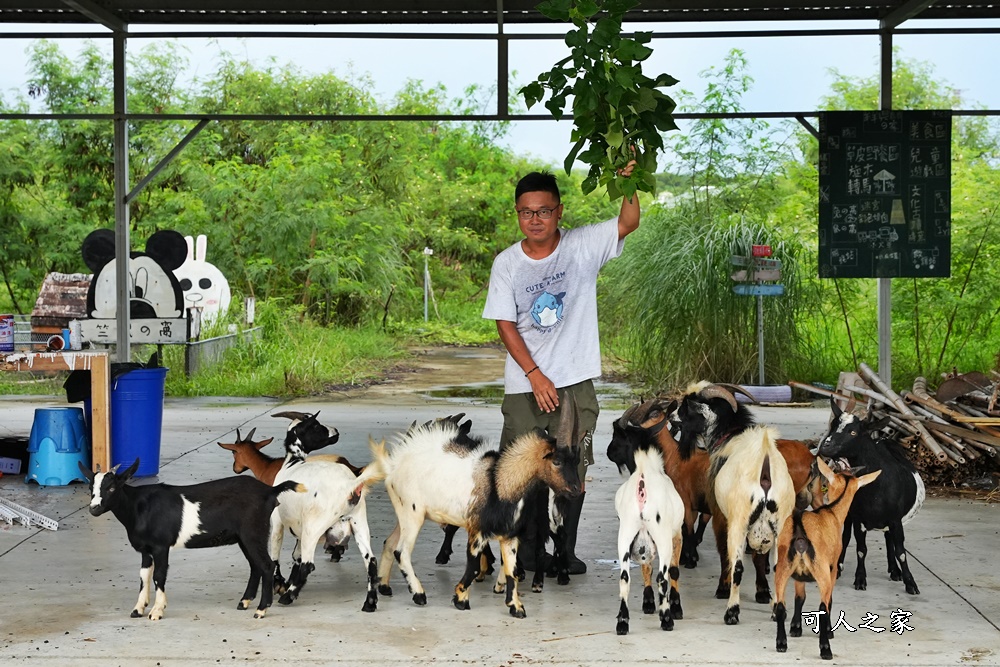 灰太狼生態教育園區