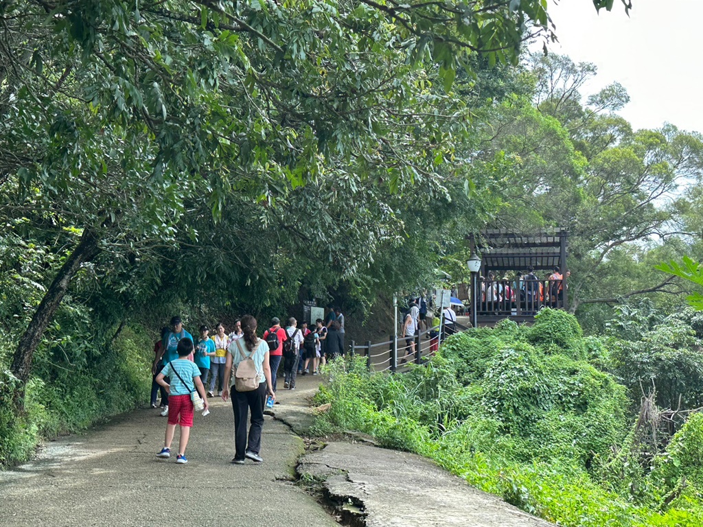 9號步道,台中大坑景點,精選文章