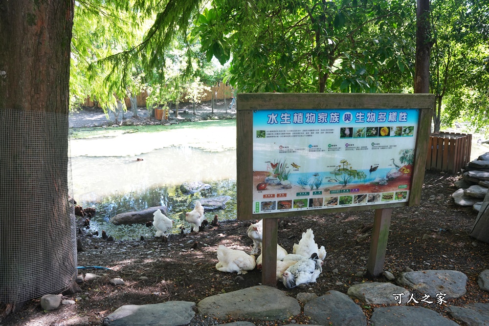 Remove term: 森林物語門票資訊,水岸-森林物語動物園區,水岸森林休閒農場