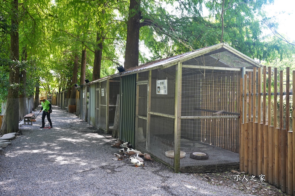 Remove term: 森林物語門票資訊,水岸-森林物語動物園區,水岸森林休閒農場