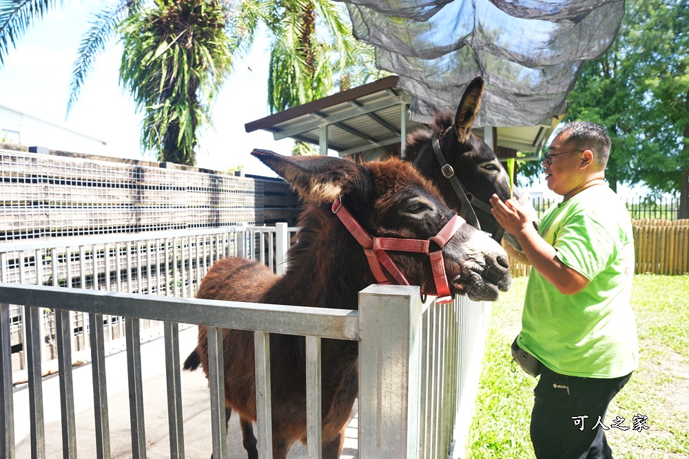 Remove term: 森林物語門票資訊,水岸-森林物語動物園區,水岸森林休閒農場