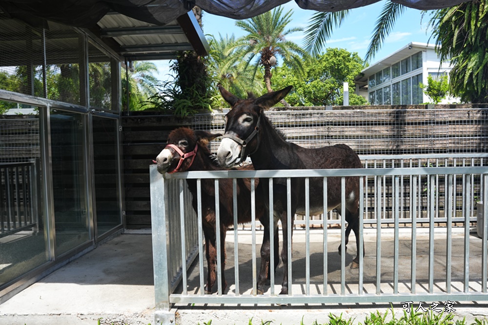 Remove term: 森林物語門票資訊,水岸-森林物語動物園區,水岸森林休閒農場