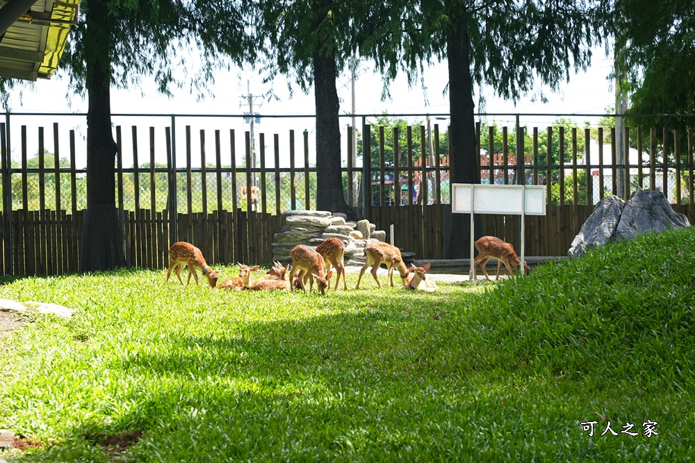 Remove term: 森林物語門票資訊,水岸-森林物語動物園區,水岸森林休閒農場