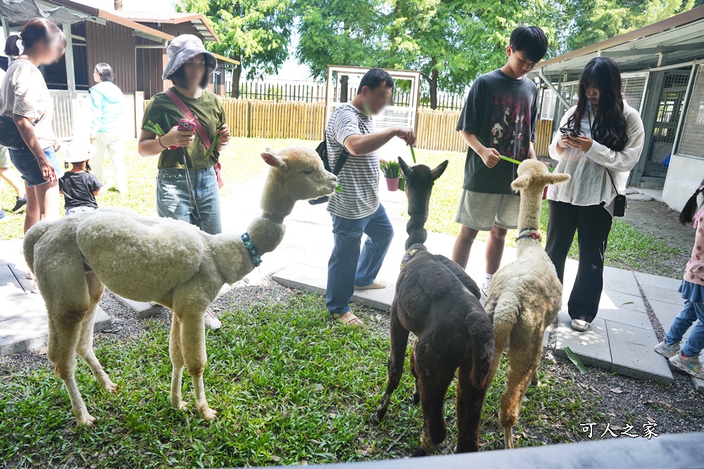 Remove term: 森林物語門票資訊,水岸-森林物語動物園區,水岸森林休閒農場