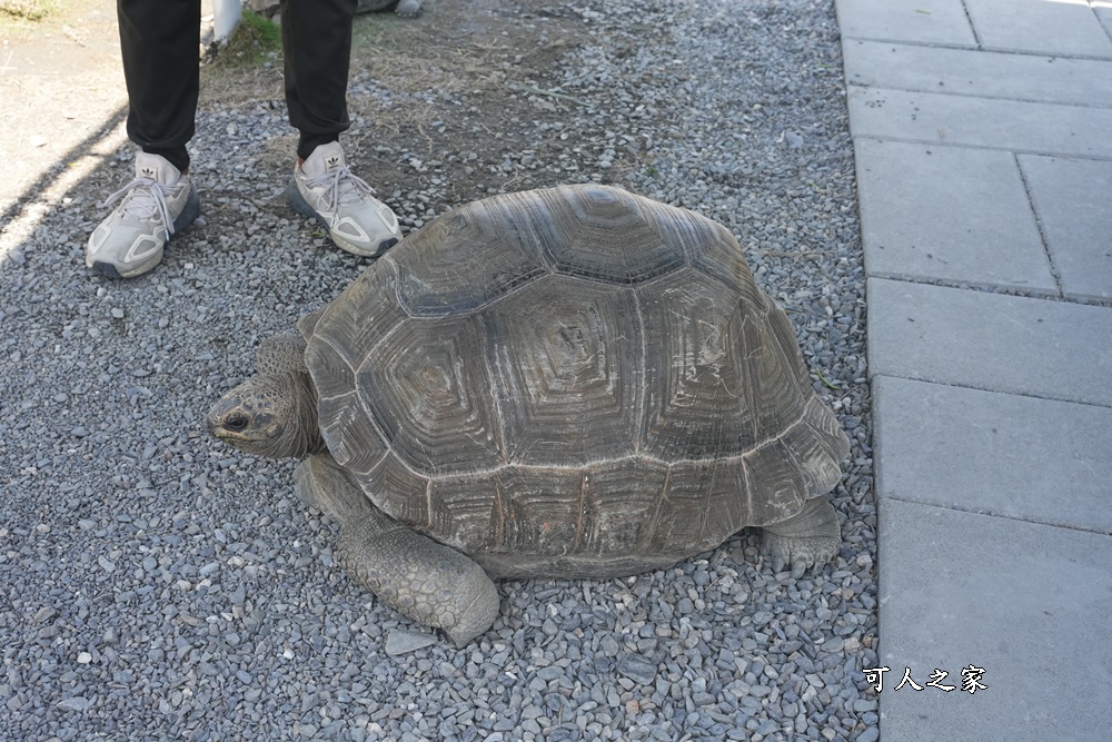 星夢森林劇場