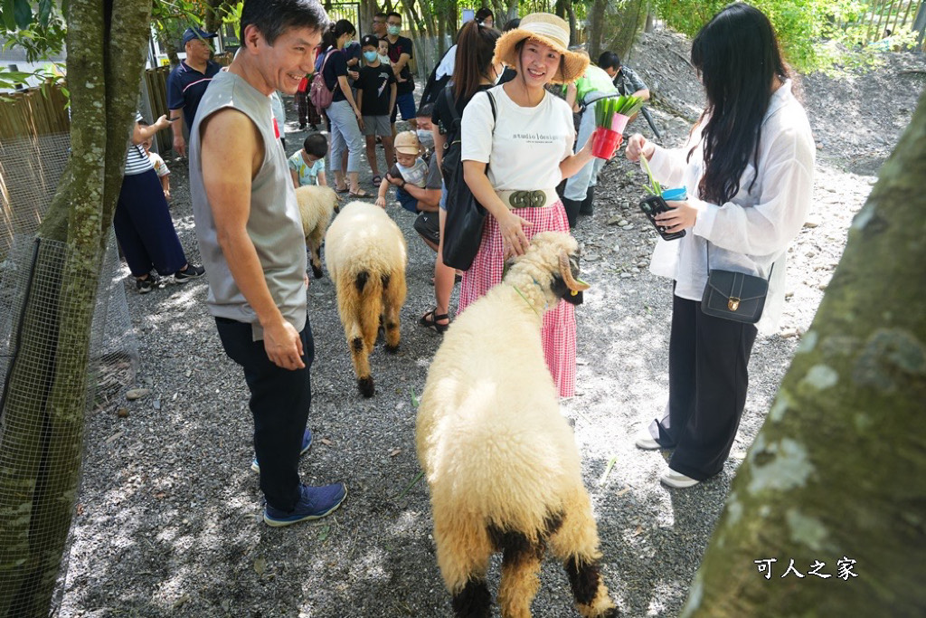 Remove term: 森林物語門票資訊,水岸-森林物語動物園區,水岸森林休閒農場