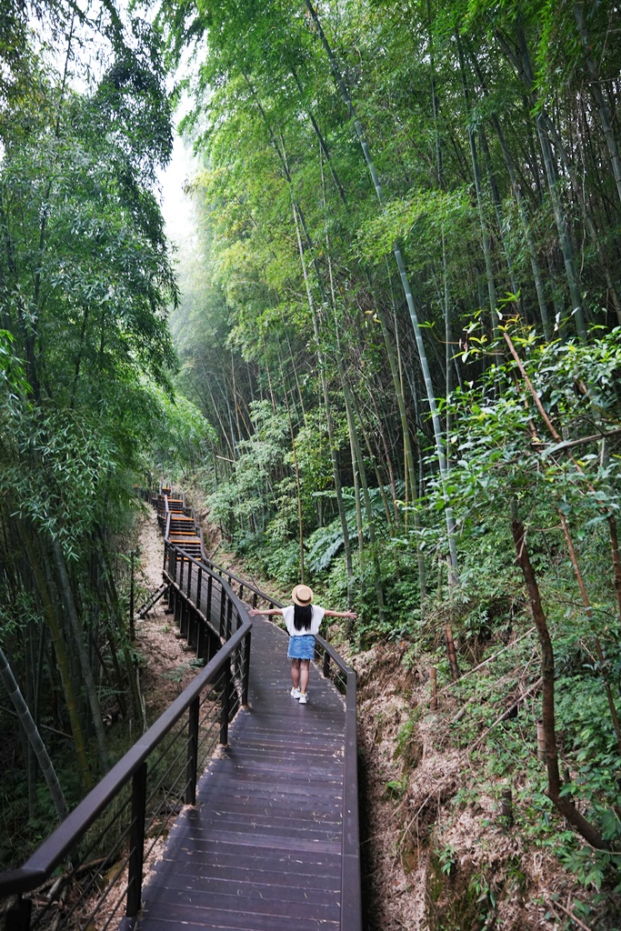 嘉義景點推薦,嘉義阿里山,茶林山步道,阿里山步道山景雲海,阿里山觀景台