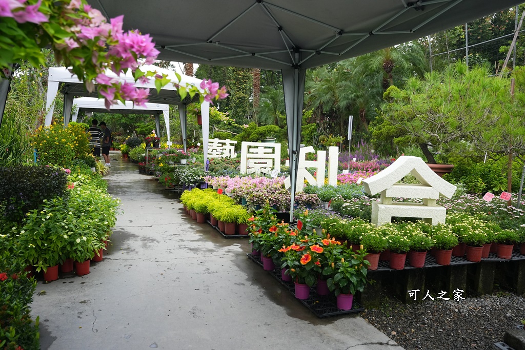 彰化田尾買花推薦,田尾公路花園,田尾景點,田尾藝術園區,田尾賞花哪一家