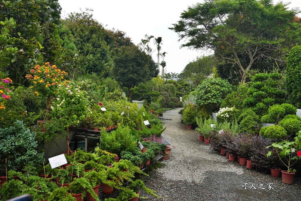 彰化田尾買花推薦,田尾公路花園,田尾景點,田尾藝術園區,田尾賞花哪一家