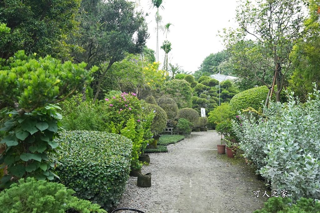 彰化田尾買花推薦,田尾公路花園,田尾景點,田尾藝術園區,田尾賞花哪一家