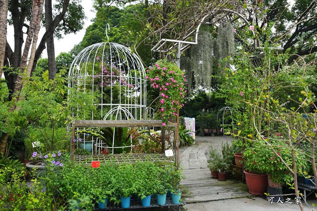 彰化田尾買花推薦,田尾公路花園,田尾景點,田尾藝術園區,田尾賞花哪一家