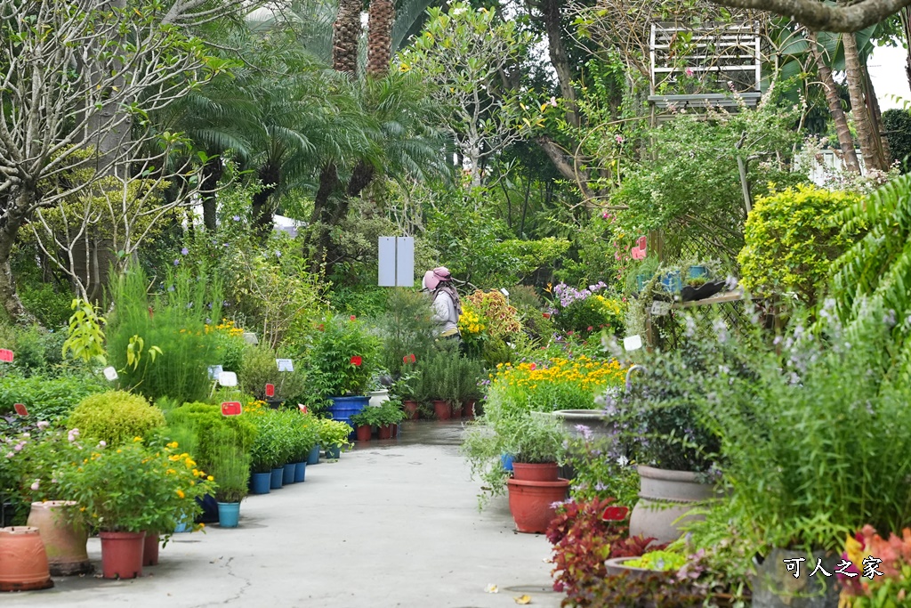 彰化田尾買花推薦,田尾公路花園,田尾景點,田尾藝術園區,田尾賞花哪一家