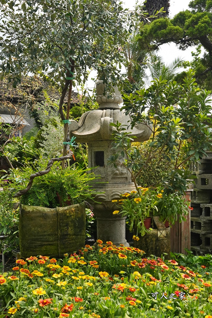 彰化田尾買花推薦,田尾公路花園,田尾景點,田尾藝術園區,田尾賞花哪一家